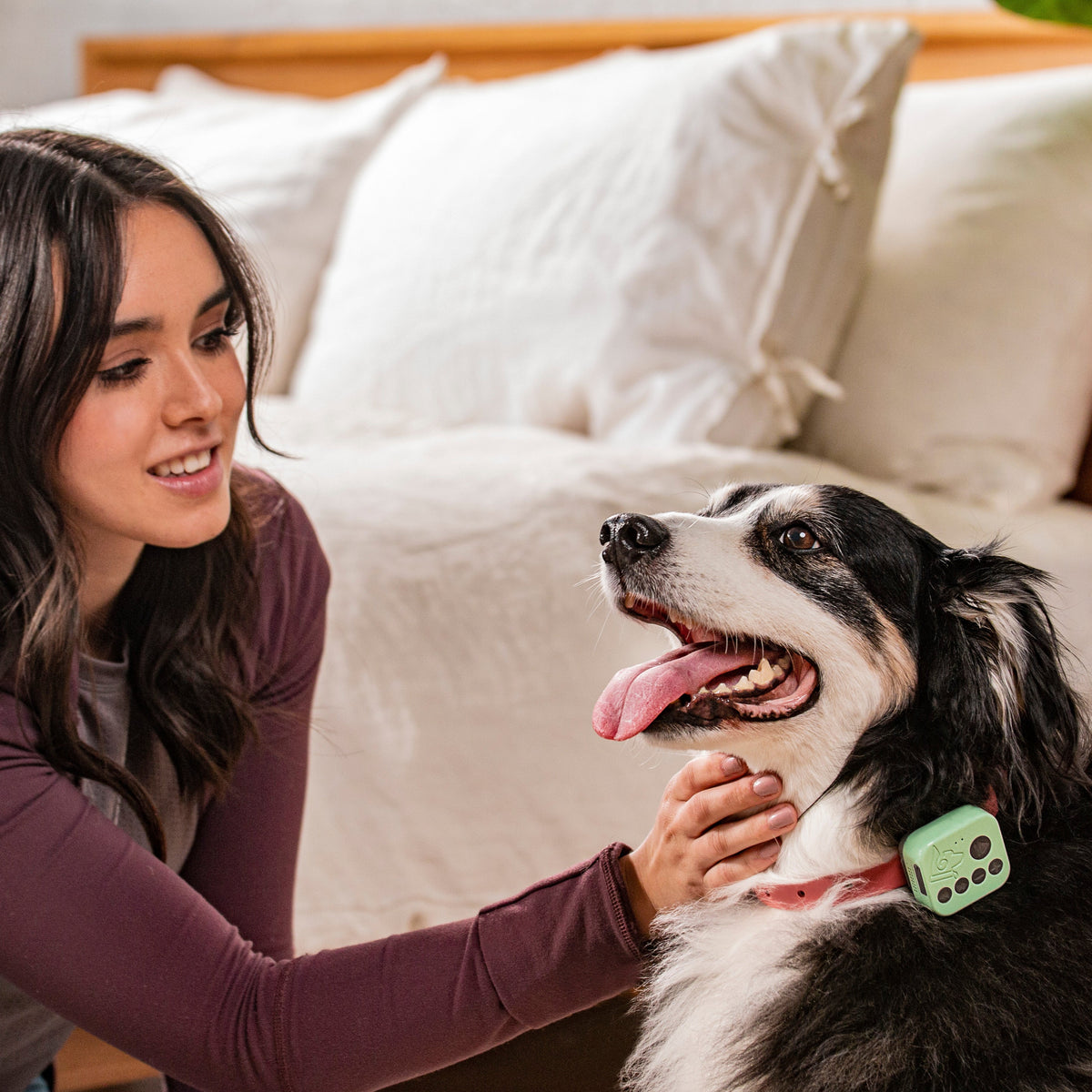 Woman petting her happy dog, who wears the green Barkwoo Music Box on a coral collar