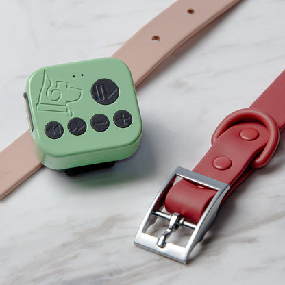 Barkwoo Music Box plays preloaded calming music for dogs